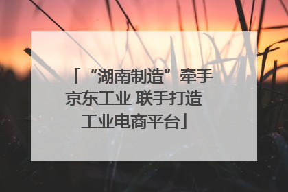 “湖南制造”牵手京东工业 联手打造工业电商平台