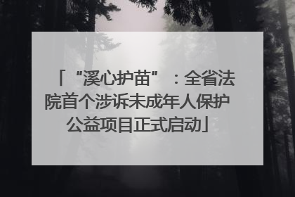 “溪心护苗”：全省法院首个涉诉未成年人保护公益项目正式启动