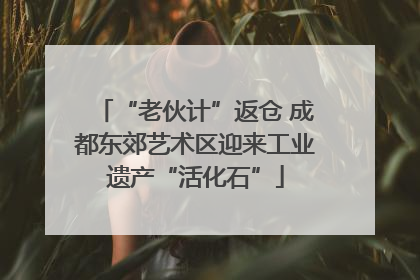 “老伙计”返仓 成都东郊艺术区迎来工业遗产“活化石”