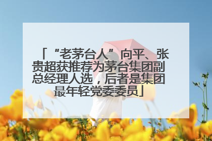 “老茅台人”向平、张贵超获推荐为茅台集团副总经理人选，后者是集团最年轻党委委员