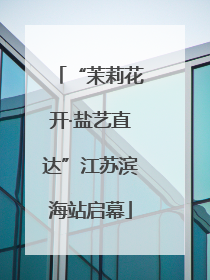 “茉莉花开·盐艺直达”江苏滨海站启幕