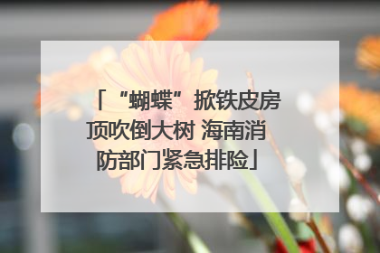 “蝴蝶”掀铁皮房顶吹倒大树 海南消防部门紧急排险