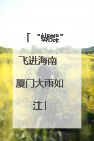 “蝴蝶”飞进海南 厦门大雨如注