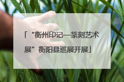 “衡州印记—篆刻艺术展”衡阳县巡展开展