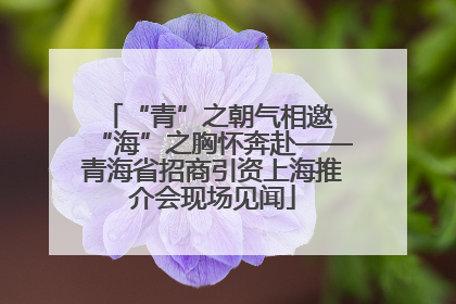“青”之朝气相邀 “海”之胸怀奔赴——青海省招商引资上海推介会现场见闻