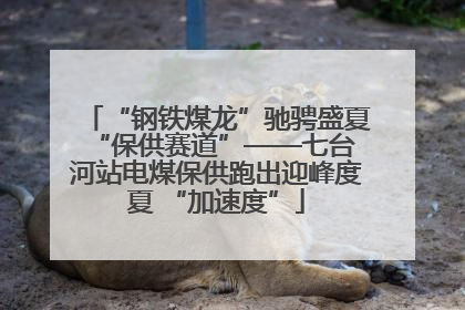 “钢铁煤龙”驰骋盛夏 “保供赛道”——七台河站电煤保供跑出迎峰度夏 “加速度”