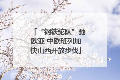 “钢铁驼队”驰欧亚 中欧班列加快山西开放步伐