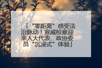 “零距离”感受法治脉动！宣威检察迎来人大代表、政协委员“沉浸式”体验
