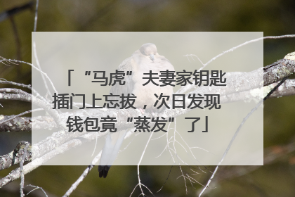 “马虎”夫妻家钥匙插门上忘拔，次日发现钱包竟“蒸发”了