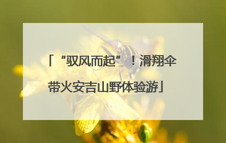 “驭风而起”！滑翔伞带火安吉山野体验游