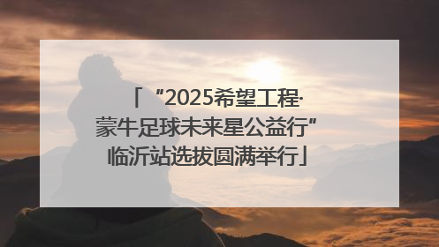 “2025希望工程·蒙牛足球未来星公益行”临沂站选拔圆满举行
