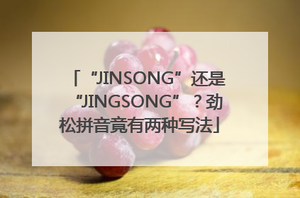 “JINSONG”还是“JINGSONG”？劲松拼音竟有两种写法