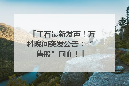 王石最新发声！万科晚间突发公告：“售股”回血！