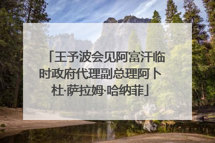 王予波会见阿富汗临时政府代理副总理阿卜杜·萨拉姆·哈纳菲