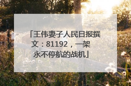 王伟妻子人民日报撰文：81192，一架永不停航的战机