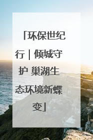 环保世纪行｜倾城守护 巢湖生态环境新蝶变
