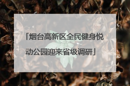 烟台高新区全民健身悦动公园迎来省级调研
