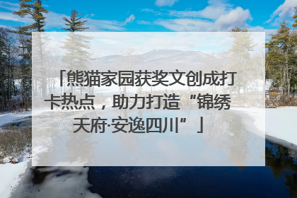 熊猫家园获奖文创成打卡热点，助力打造“锦绣天府·安逸四川”