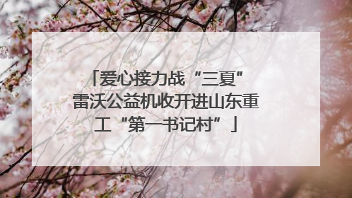 爱心接力战“三夏” 雷沃公益机收开进山东重工“第一书记村”