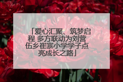 爱心汇聚、筑梦启程 多方联动为刘营伍乡崔寨小学学子点亮成长之路