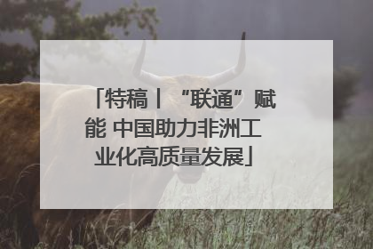 特稿丨“联通”赋能 中国助力非洲工业化高质量发展