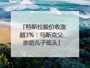 特斯拉股价收涨超3%：马斯克父亲劝儿子低头