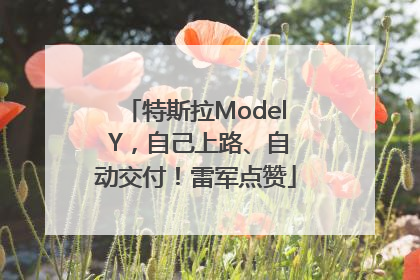 特斯拉Model Y，自己上路、自动交付！雷军点赞
