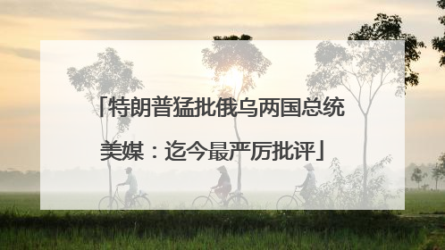 特朗普猛批俄乌两国总统 美媒：迄今最严厉批评