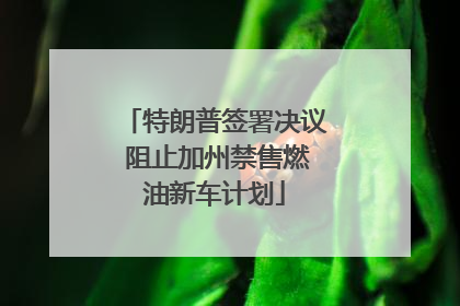特朗普签署决议 阻止加州禁售燃油新车计划
