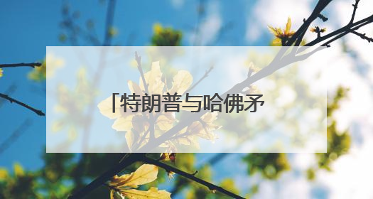 特朗普与哈佛矛盾升级：考虑将30亿美元拨款转发给职业学校