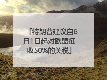 特朗普建议自6月1日起对欧盟征收50%的关税