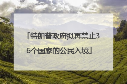 特朗普政府拟再禁止36个国家的公民入境