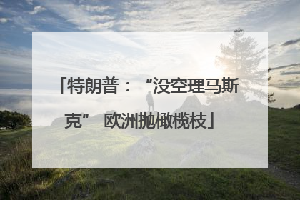 特朗普：“没空理马斯克” 欧洲抛橄榄枝