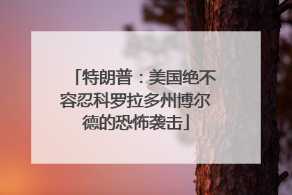 特朗普：美国绝不容忍科罗拉多州博尔德的恐怖袭击