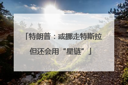 特朗普：或挪走特斯拉 但还会用“星链”