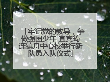 牢记党的教导，争做强国少年 宜宾筠连镇舟中心校举行新队员入队仪式