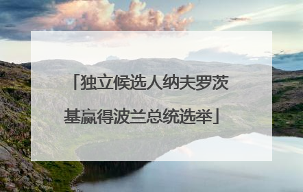 独立候选人纳夫罗茨基赢得波兰总统选举