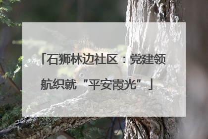 石狮林边社区：党建领航织就“平安霞光”