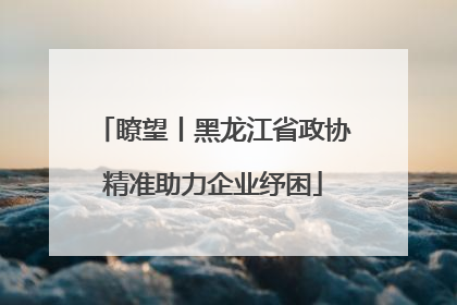 瞭望丨黑龙江省政协精准助力企业纾困