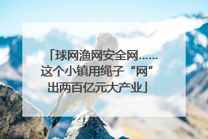 球网渔网安全网……这个小镇用绳子“网”出两百亿元大产业