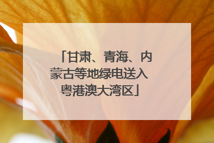 甘肃、青海、内蒙古等地绿电送入粤港澳大湾区