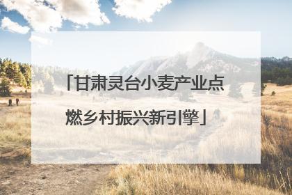 甘肃灵台小麦产业点燃乡村振兴新引擎
