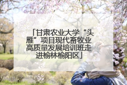 甘肃农业大学“头雁”项目现代畜牧业高质量发展培训班走进榆林榆阳区