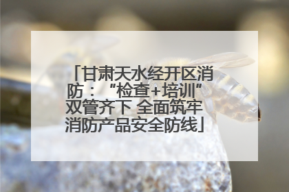 甘肃天水经开区消防：“检查+培训”双管齐下 全面筑牢消防产品安全防线
