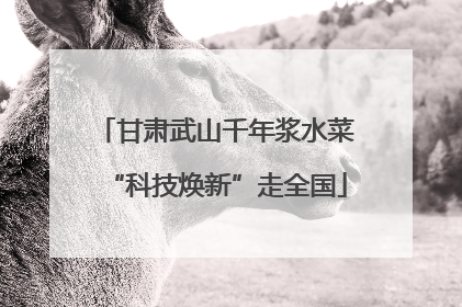 甘肃武山千年浆水菜“科技焕新”走全国