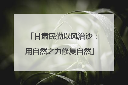 甘肃民勤以风治沙：用自然之力修复自然