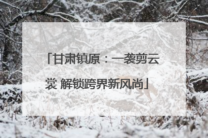 甘肃镇原：一袭剪云裳 解锁跨界新风尚