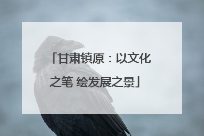甘肃镇原：以文化之笔 绘发展之景