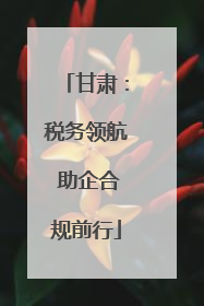 甘肃：税务领航 助企合规前行