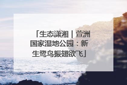 生态潇湘｜萱洲国家湿地公园：新生鹭鸟振翅欲飞